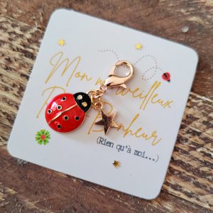 Coccinelle porte-bonheur